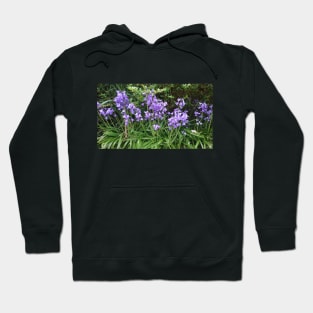 Bluebells on green Hoodie